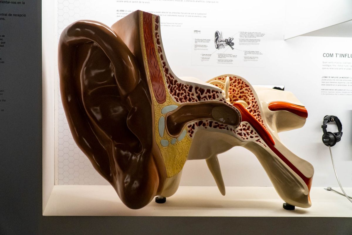 Музей наук принца Фелипе