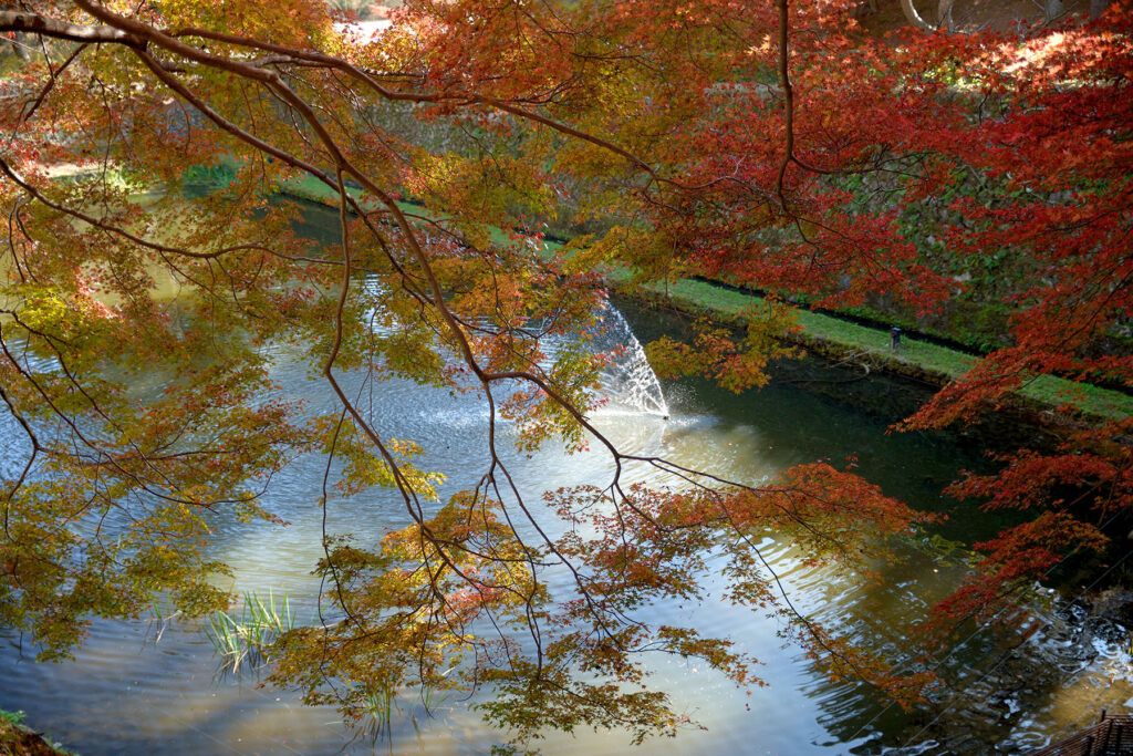 Штаб-квартира Омото (руины замка Тамба Камеяма)