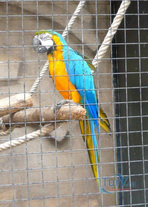 Барселонский зоопарк