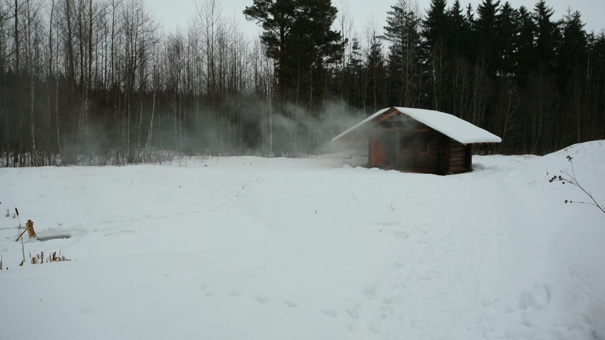 Курная баня Paun в Тартумаа
