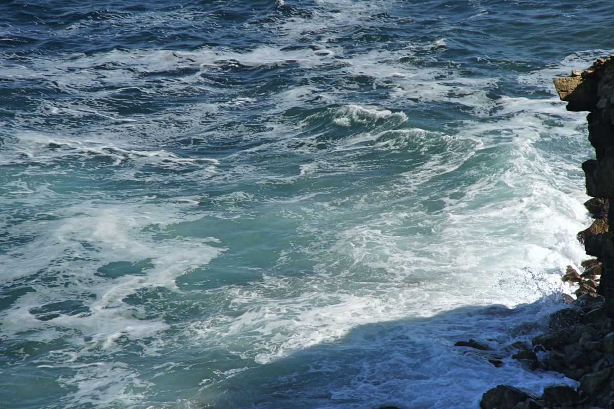 Камперван Дэй Парк