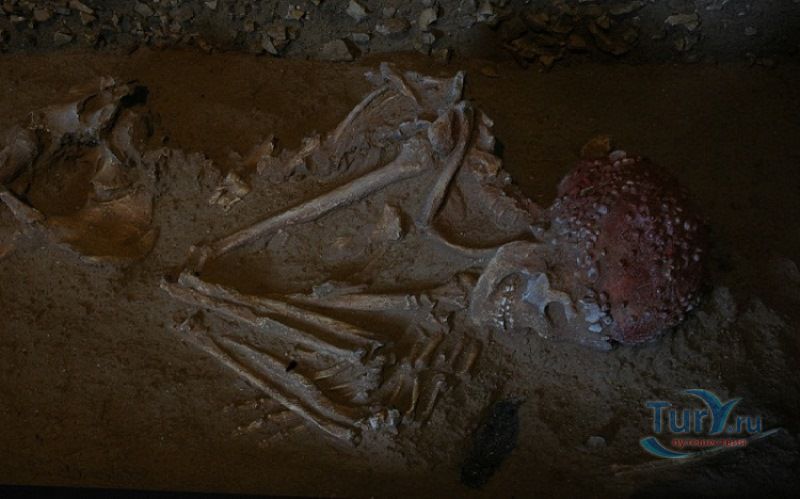 Музей доисторической антропологии