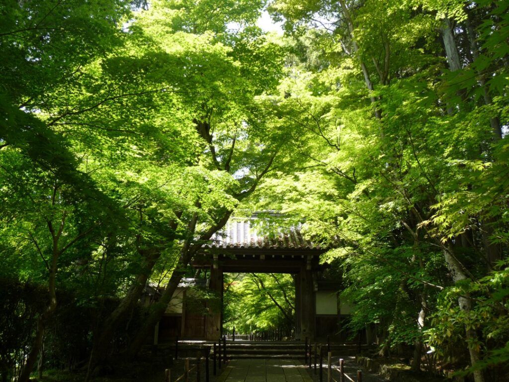 Храм Комё-дзи