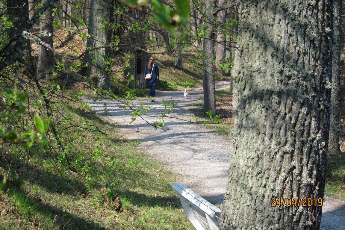 Ряпинаский краеведческий и садоводческий музей
