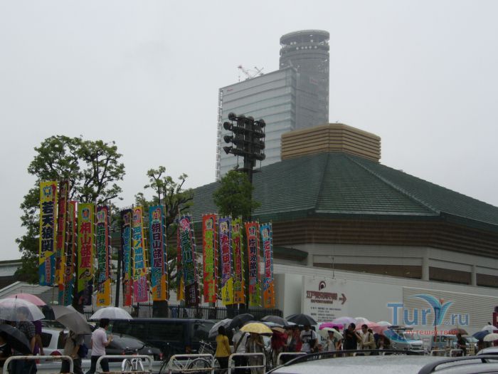 Район Рёгоку