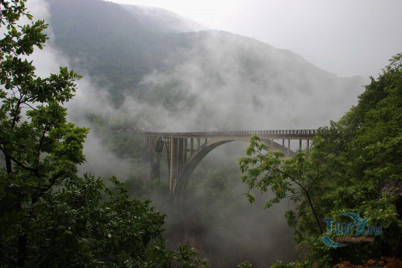 Мост Джурджевича на Таре