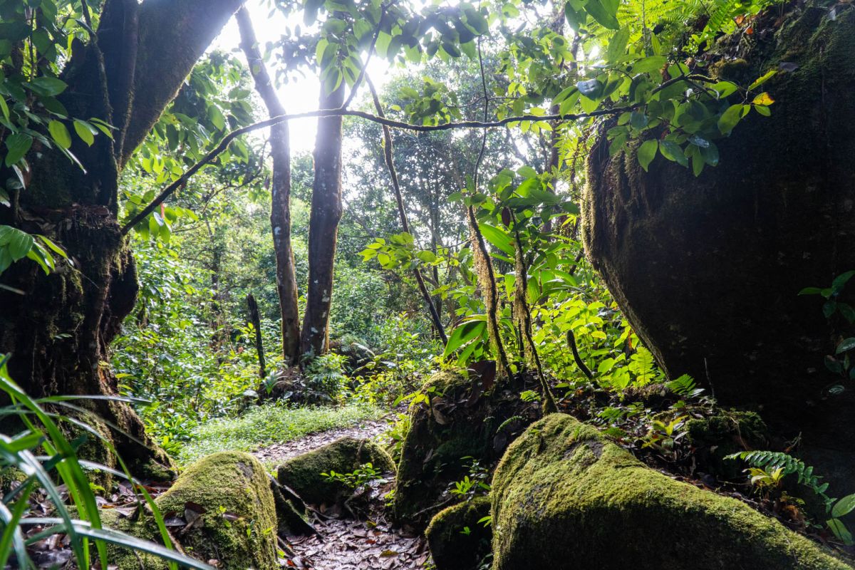 Национальный парк Морн Сейшелуа