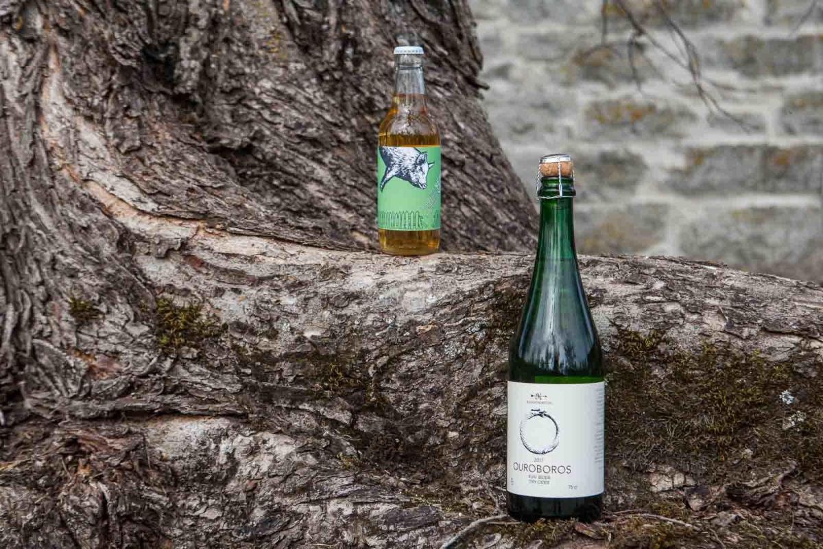 Дом сидра Kloostrimetsa