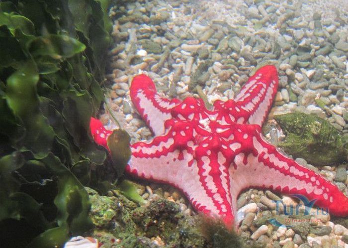 Музей Воды Аквариа