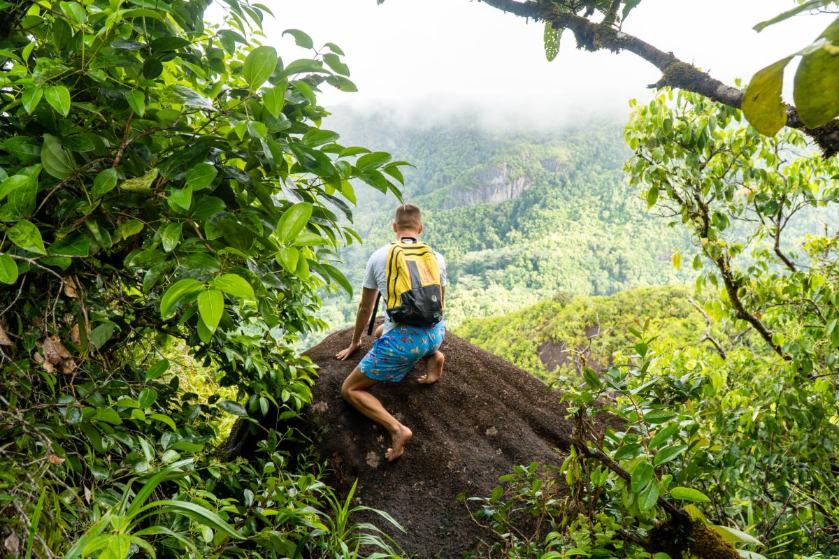 Национальный парк Морн Сейшелуа