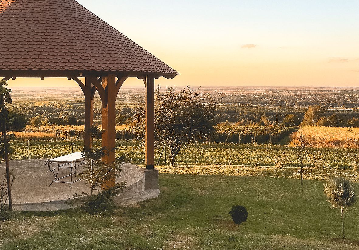 Винодельня «Думо»