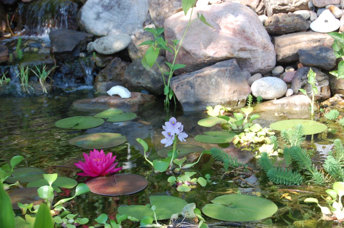 Водные сады Гудерстоун