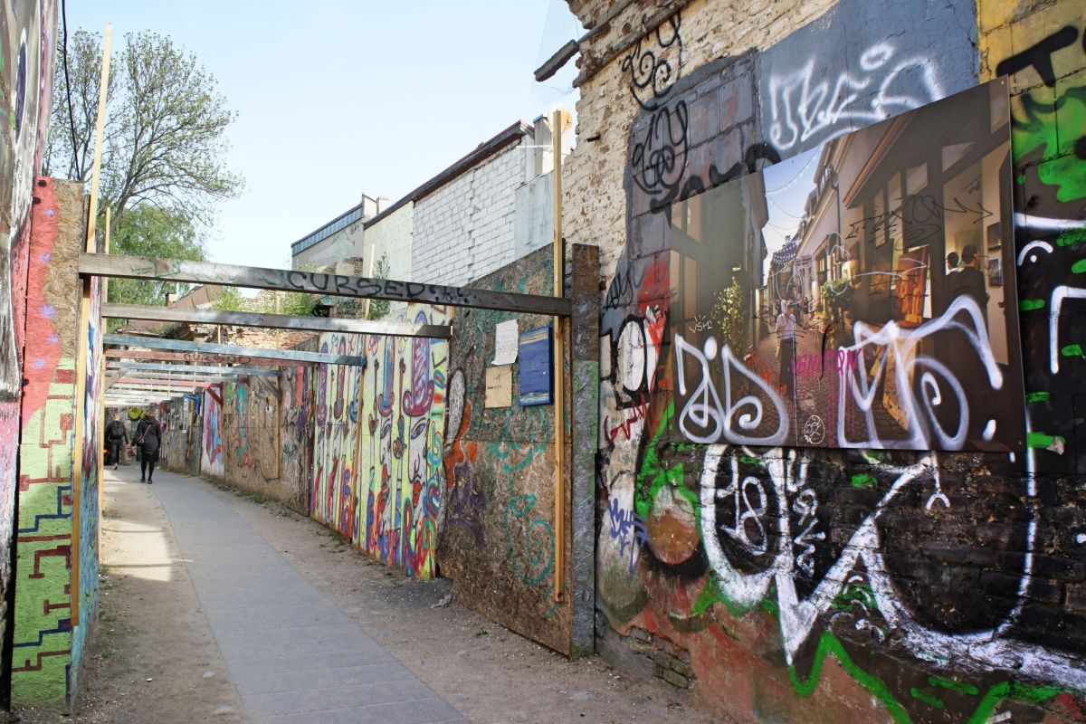 Сквозняк Йонаса Мекаса