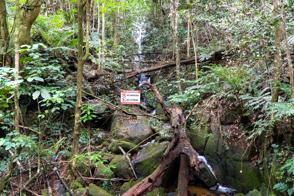 Морн Блан Трейл