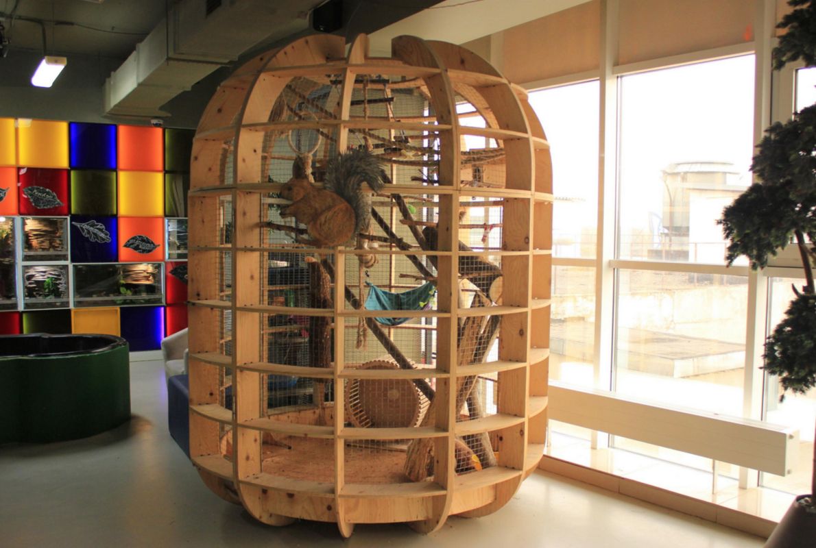 Контактный зоопарк Лесное Посольство