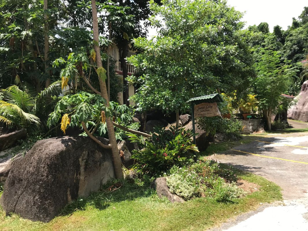 Forest Lodge Guest House