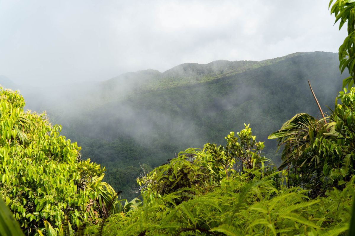 Морн Блан Трейл