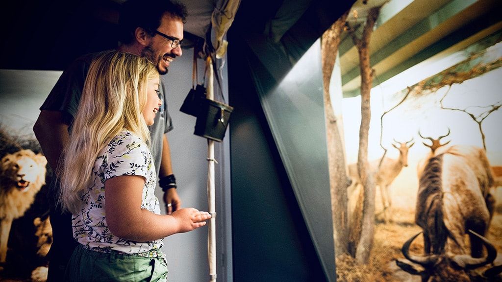 Музей естественной истории