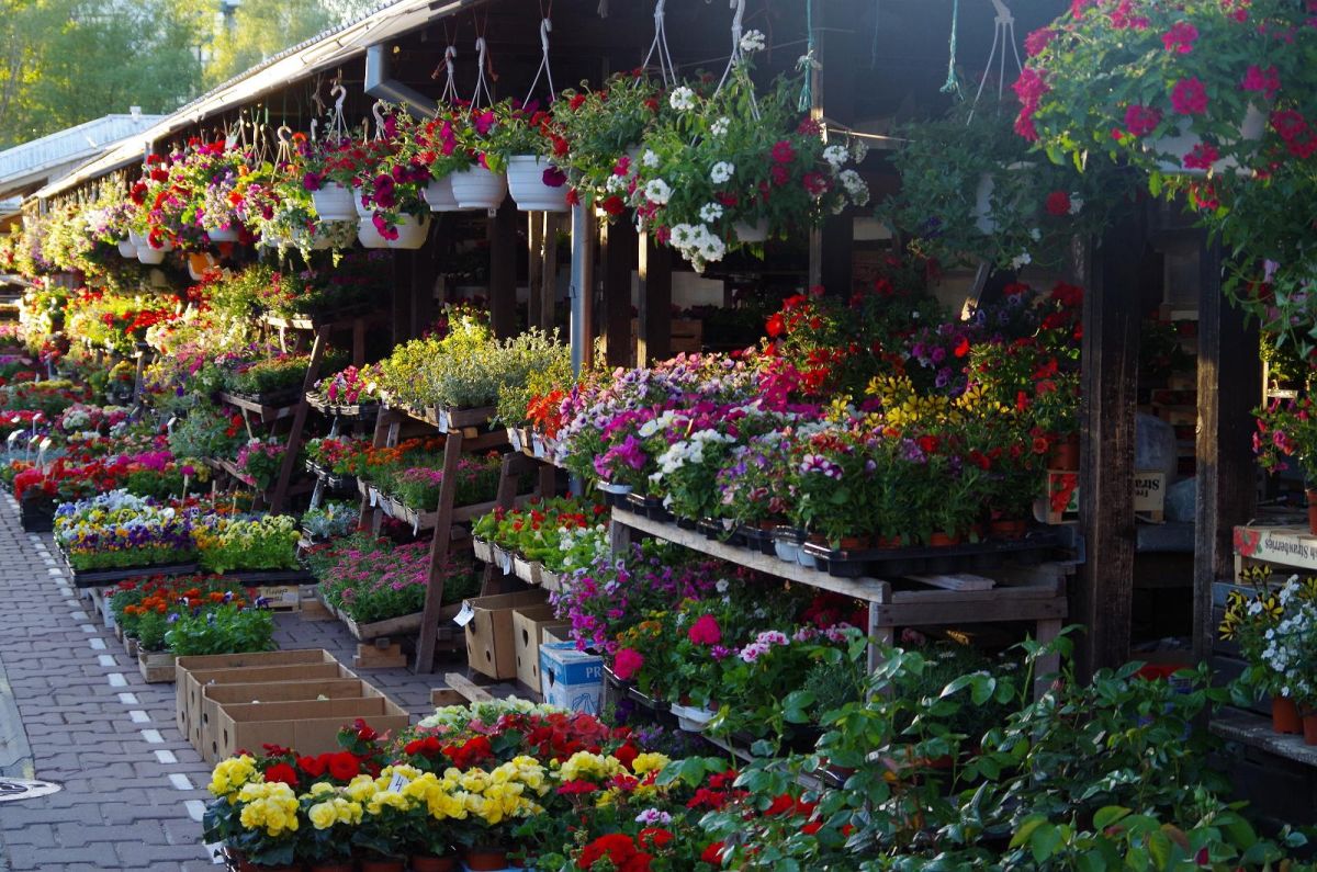 Центральный рынок Тарту