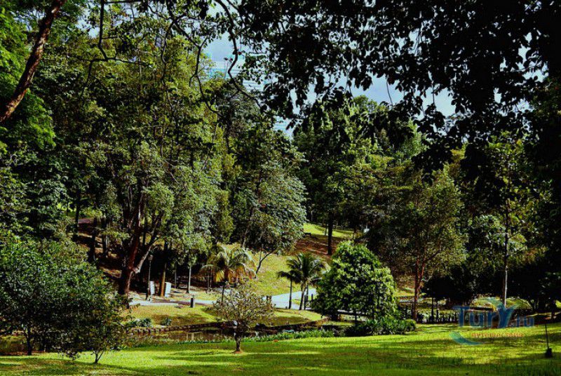 Ботанический сад Taman Botani Perdana  (Perdana Botanical Garden) Kuala Lumpur