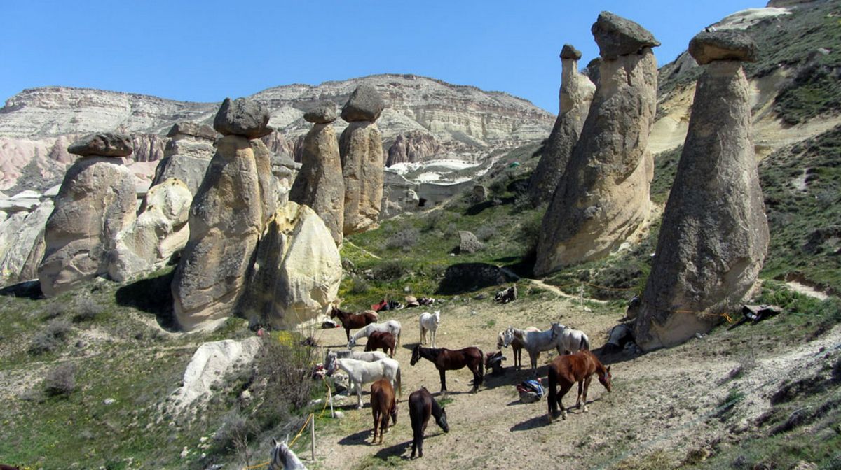 Ранчо Cappadocia Horse Riding