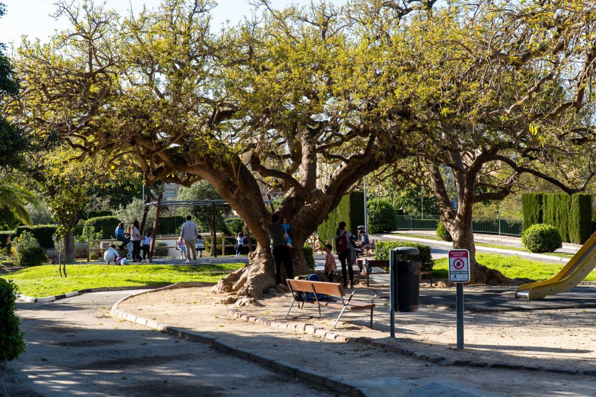 Сады дель Реал / Виверс