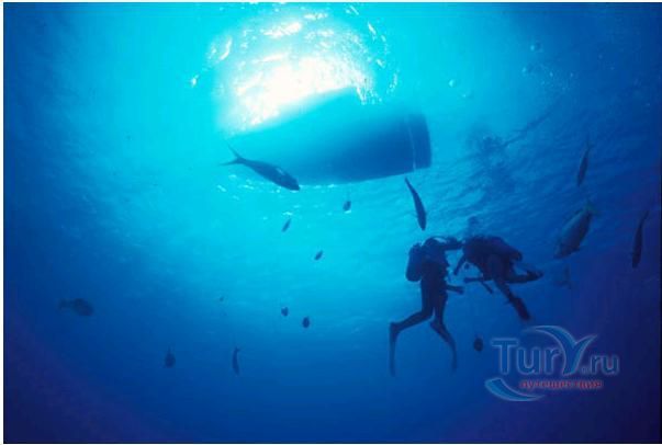 Пять подводных участков