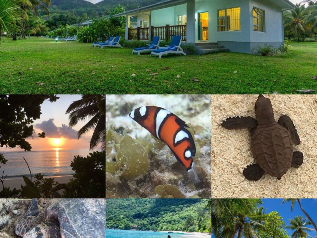 Chalets d'Anse Forbans