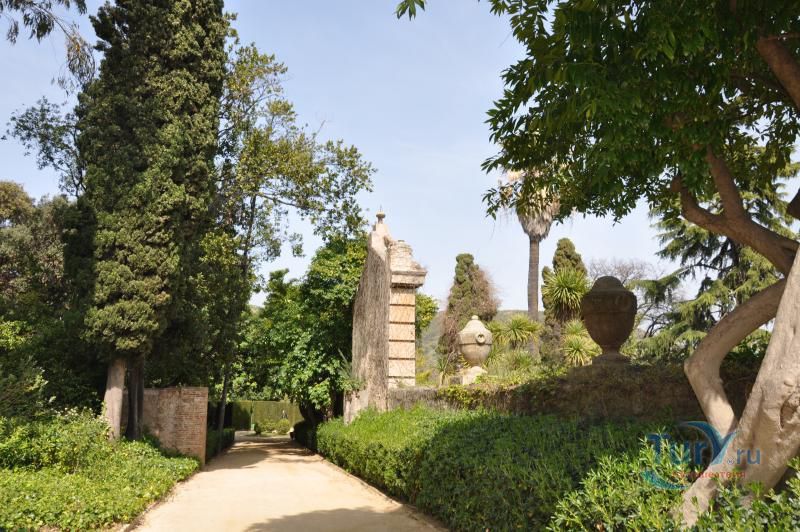 Лабиринт Орта