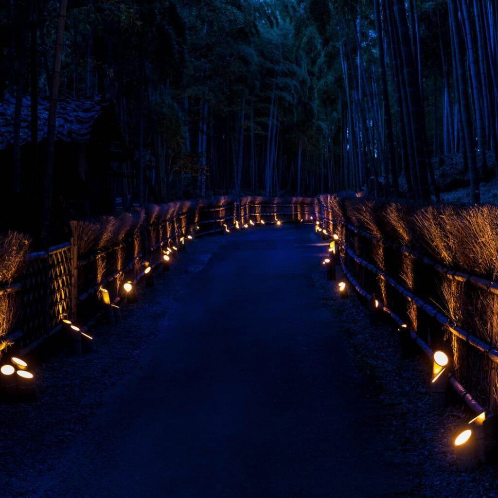 Такэ-но-Мичи (Бамбуковая тропа)