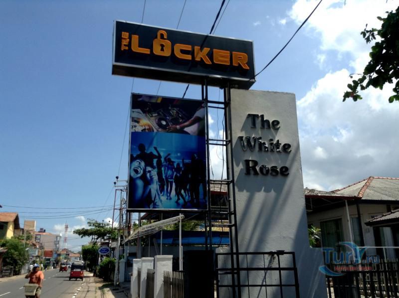 Ночной клуб The White Rose