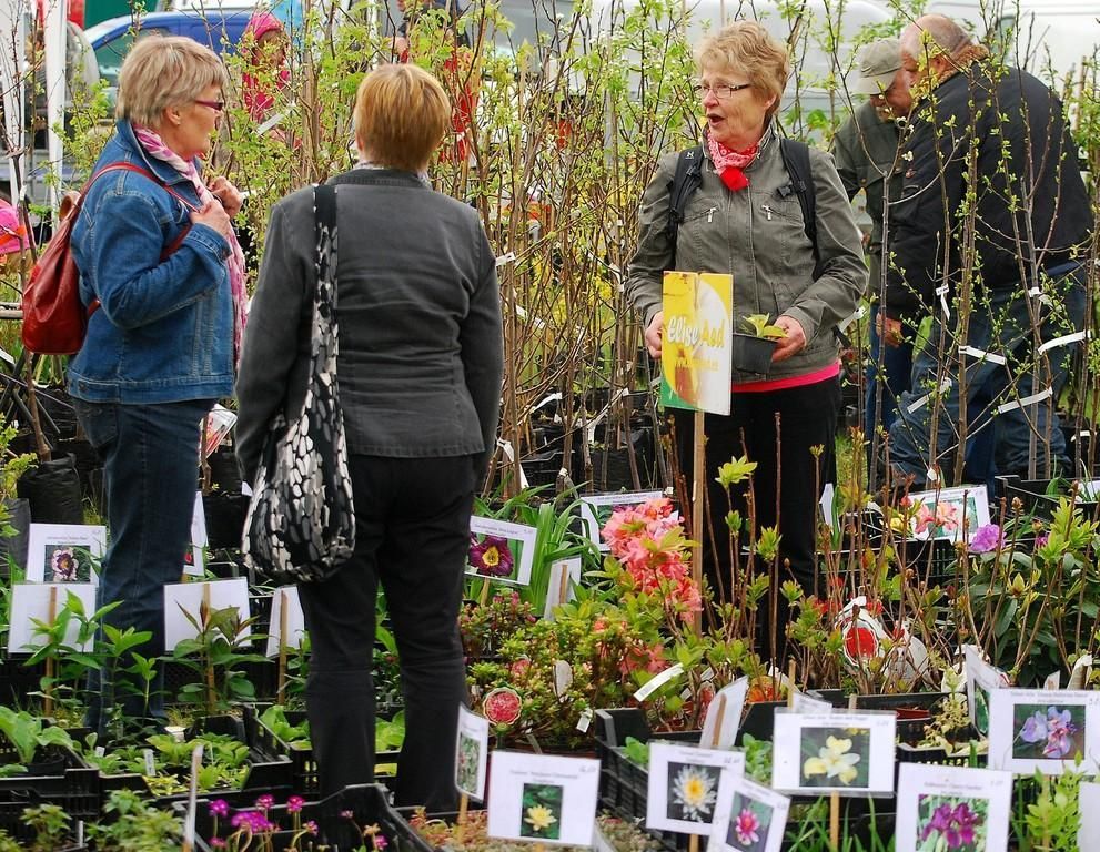 Ярмарка цветов в Тюри