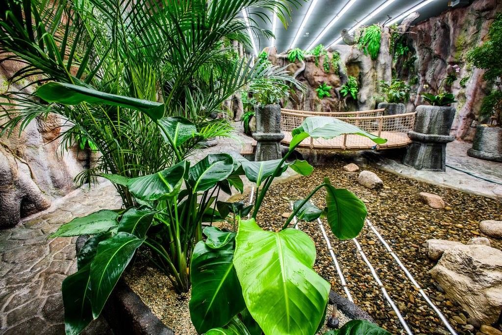 Дом бабочек Papilonia