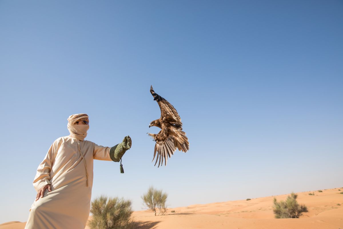 11 мест, где можно познакомиться с удивительной природой Абу-Даби