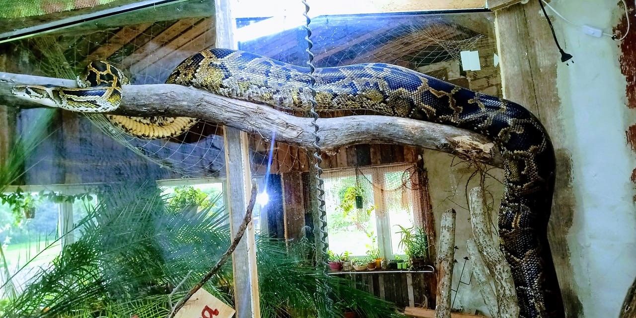 Мини-зоопарк Uhti