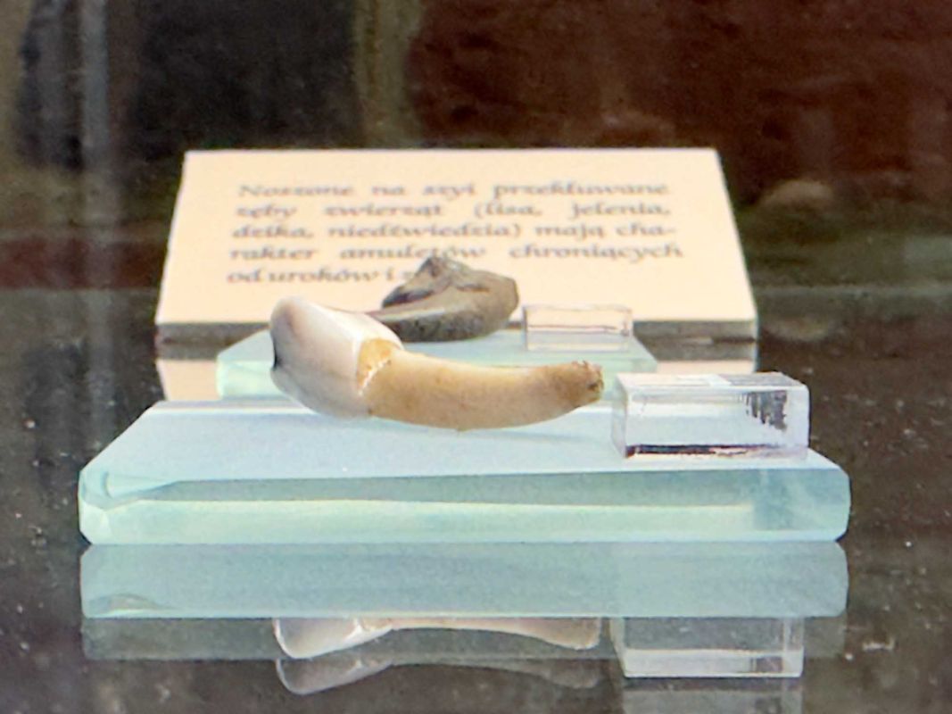 Вроцлавский археологический музей