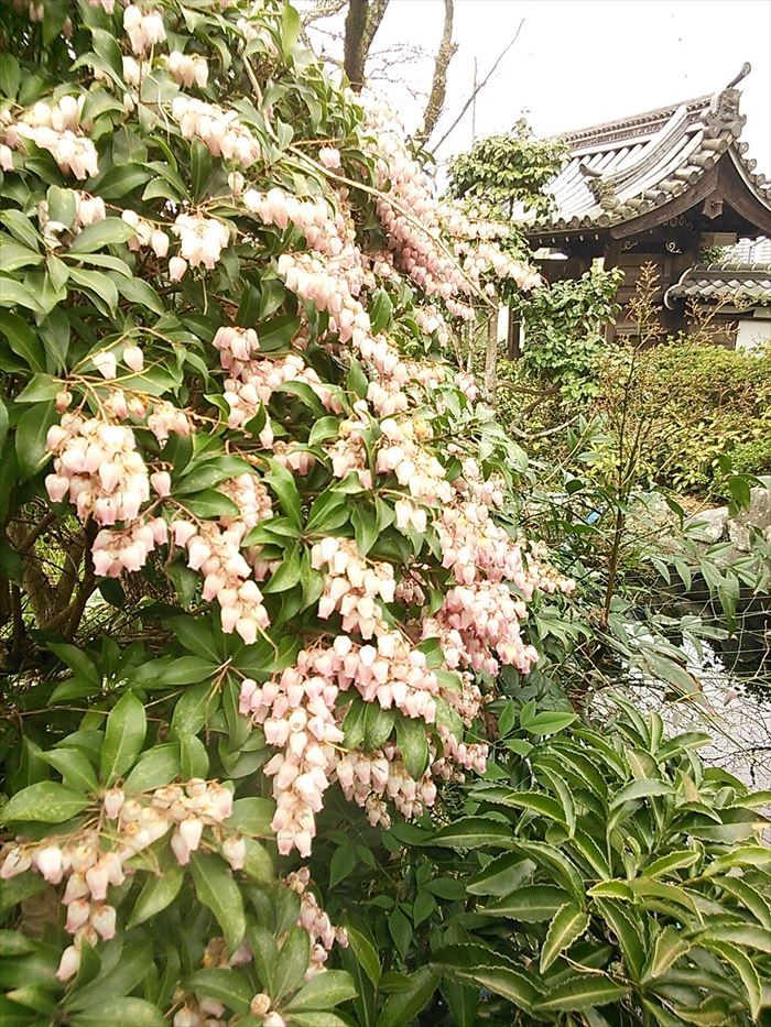 Храм Эсин-ин