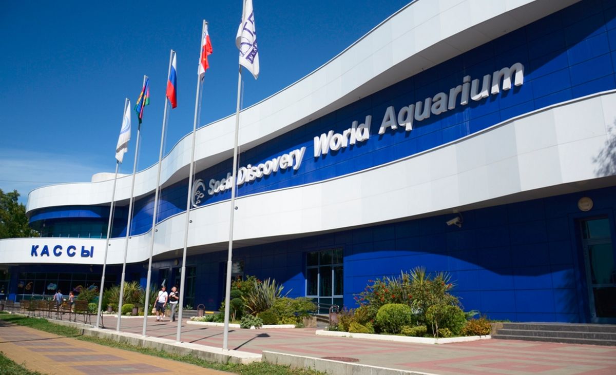 Океанариум Sochi Discovery World Aquarium