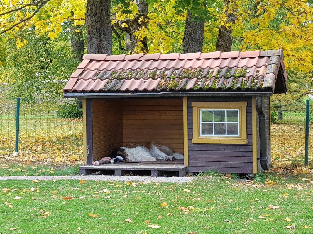 Парк мызы Олуствере