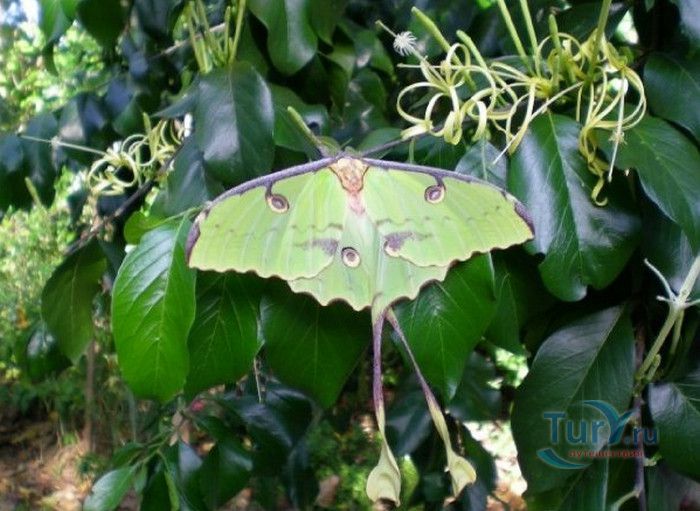 Национальный Морской Парк и Заповедник Ватаму