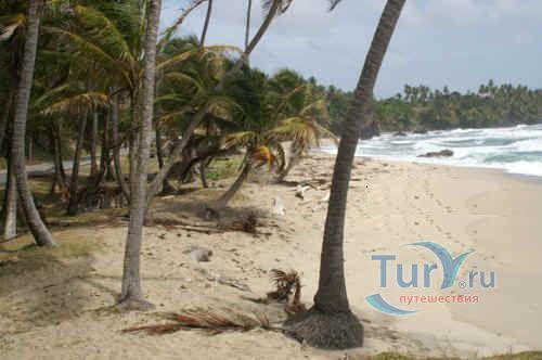 Гуямара Бич