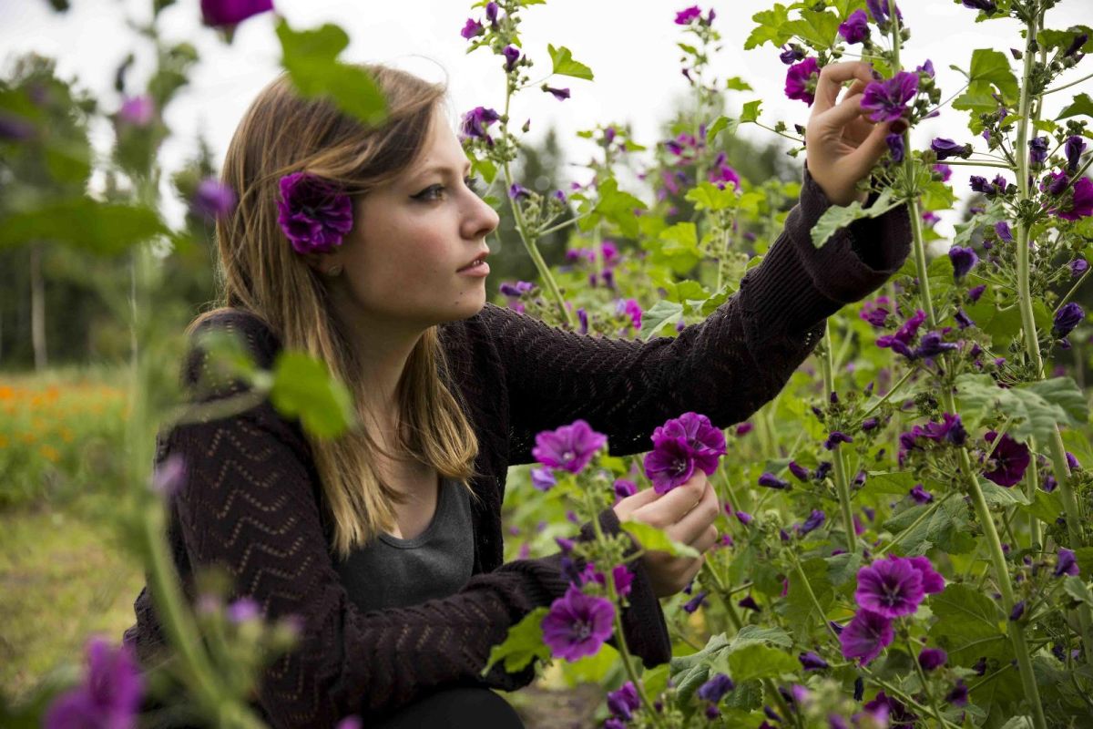 Центр лекарственных растений «Energia»