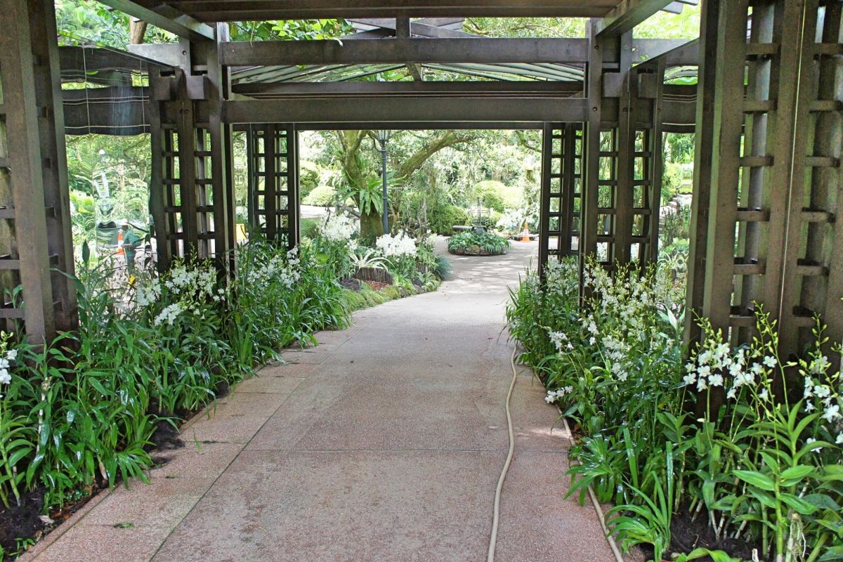 Национальный сад орхидей Сингапура