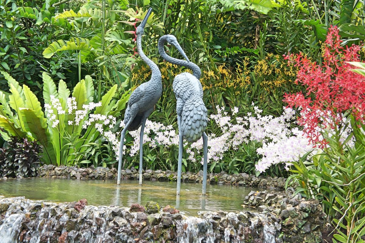 Сингапурский ботанический сад