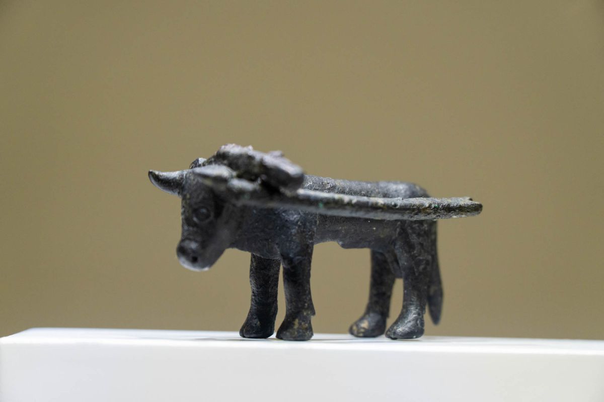 Музей доисторической эпохи Валенсии