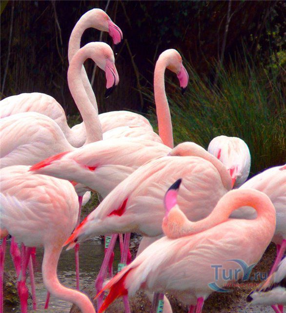 Озеро Аль-Уасба