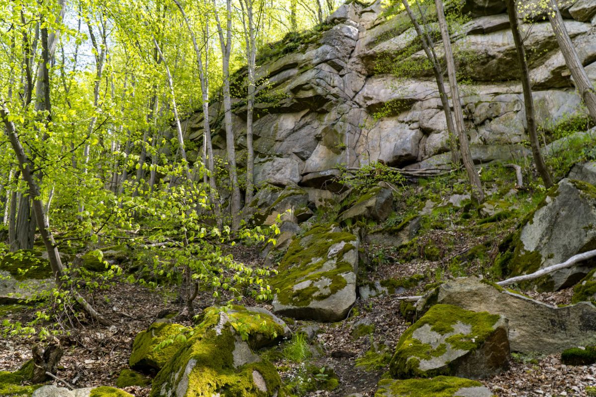 Пешеходный маршрут по южной стороне Тетерева