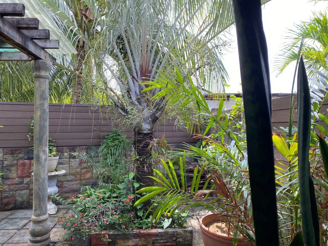 Effie’s Mountain View villas