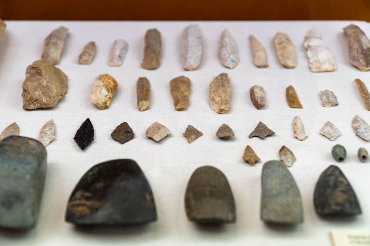 Музей доисторической эпохи Валенсии