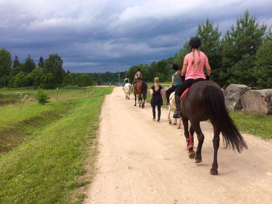 Конюшня Саммули